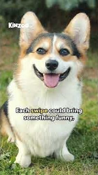 Kinzoo App Education Series - The Infinite Scroll