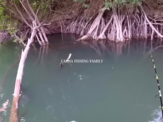 Top 10 Most Insane Monster Fish Topwater Attacks