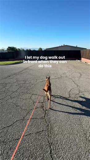 One of the things I get the most hate for? Walking dogs in heel. But… Until I have a dog that can be called into heel after being out in front of me, I’m not gonna let them walk out in front. Heel is a skill like anything else. I can use it when I’m walking past a person, crossing the road, or in a busy urban environment. Once the dog has mastered that skill I can release them to walk in front, sniff, and do whatever they want (within reason) because I know that I’m a moments notice I can call t