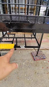 3x3x4 pigeon loft 👌👌👌 | Michael Modern Cage