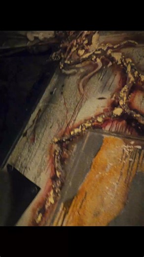 Check yourself in… and pray you get out. The Frightmare Asylum is home to deranged doctors, twisted nurses, and patients long past saving. Every scream echoes through bloodstained halls as torment and terror become your only treatment. Escape isn’t part of the prescription. Tickets – FieldOfScreams.com #SurviveTheScreams | Field of Screams