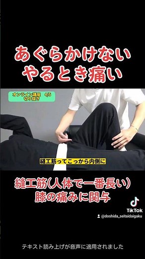 人体で一番長い筋肉『縫工筋』アプローチ方法