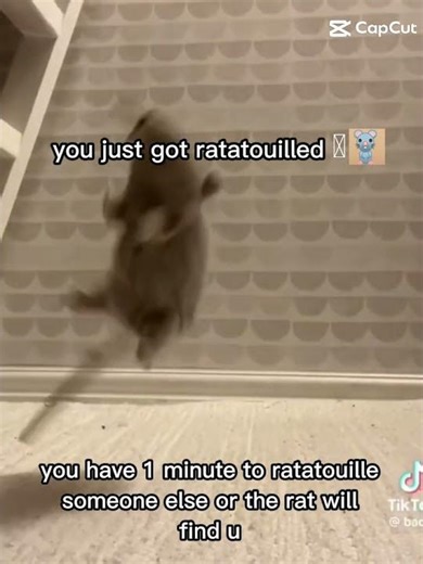 #imgay #cookierunkingdom #imdead #whitelilycookie #wlc #trauma