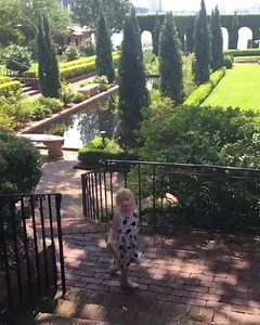 60K views · 3.5K reactions | My little Julie Andrews! | Laura Story Music | Facebook