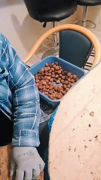 Dijana Mikulinjak (@dijanamikulinjak)’s videos with Njam, njam, njam, njam - Nykk Deetronic