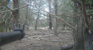 The M1 Carbine: How Does it Perform on Feral Hogs?