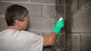 DRYLOK 12 oz. Concrete and Masonry Etch and Cleaner 773390