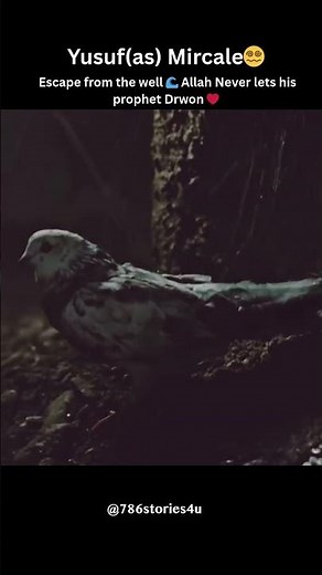 😱Prophet Yusuf’s Miracle Escape from the Well✨ #shorts #yusuf #joseph #prophetyusuf