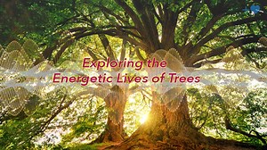 13K views | In an exciting scientific venture, HeartMath Institute...