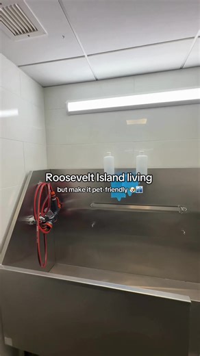 Pets aren’t just allowed here, they’re part of the community 🐾💙 At The Octagon, pet-friendly living means thoughtful amenities like in-building dog baths that make cleanup easy after island walks. More time for cuddles, less time for mess. #theoctagonliving #rooseveltisland #petlover #dreamapartment #nycapartment