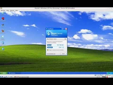 TeamViewer Quicksupport (quick vid)