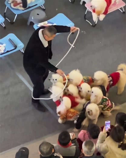 The cutest thing you'll see today! | Creative Bee