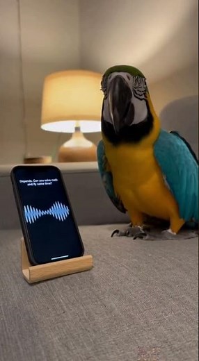 Smart Parrot Talks to AI 🤖🦜 Funniest Bird Conversation Ever! 😂📱