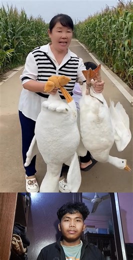 Kwai Funny tiktok: Funny Videos 2025 Chinese Funny Video 🤣 #shorts #funny #comedy