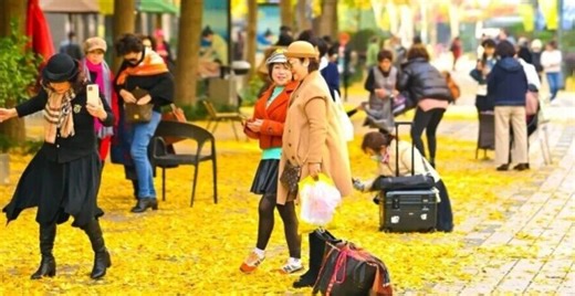 “杏”定美景来袭！黄金城道银杏艺术节四大主题活动抢先看_腾讯新闻