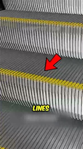 Escalators Hide Secret Safety 😱