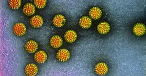 Rotarix - szczepionka na rotawirusy, wskazania, dawka, skład, skutki uboczne