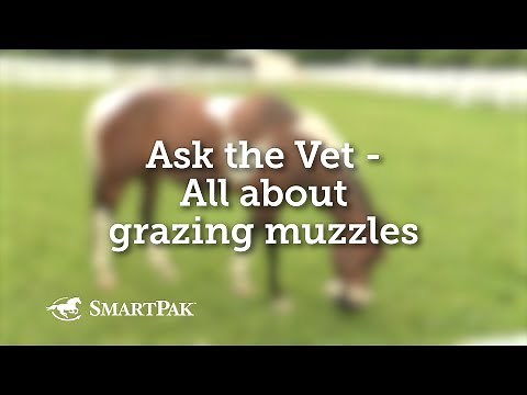 Ask the Vet - All about grazing muzzles
