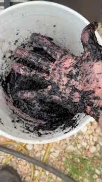 Biochar Hydrogel!!!!