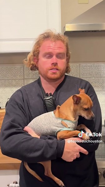 Optimizing Dog Adoption Visibility on Petfinder