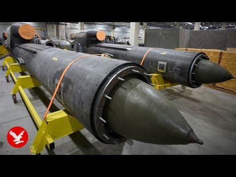 Ukraine unveils devastating new ‘Flamingo’ cruise missile that can strike deep inside Russia