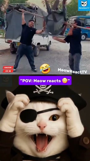 Cat Reaction 😹 | Guess! #guess