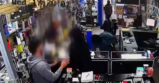 Security camera captures smash-and-grab robbery at Toronto store