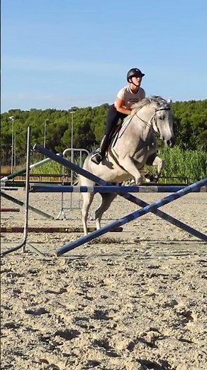 42 exercices de CSO #cheval #horse #equitation #jumping #horseriding