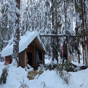 71K views · 2.4K reactions | Winter camping in the snowy forest with my horse, overnight in an uninhabited wooden house | James Libang | Facebook