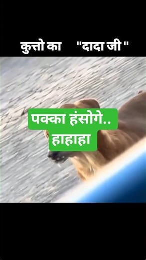 Comedy Shorts |Indian Comedy #funny #comedy @funny@ytshorts #comedyshorts #reels#marriageproposals