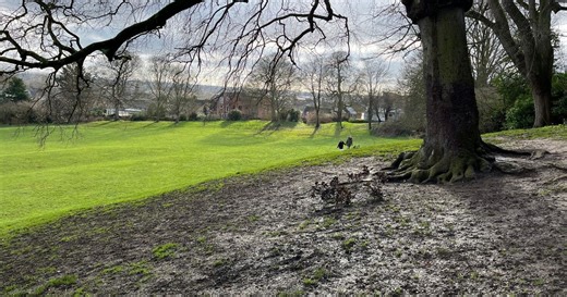 The popular Cambs dog walking spot where a Norman castle once stood
