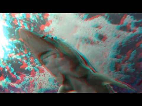 Undersea Life 3D Anaglyph