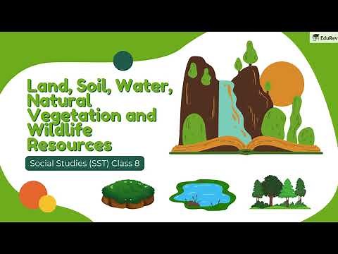 🌍 Land, Soil, Water, Natural Vegetation | Class 8 Geography Chapter 2 | Animated Explanation & Notes