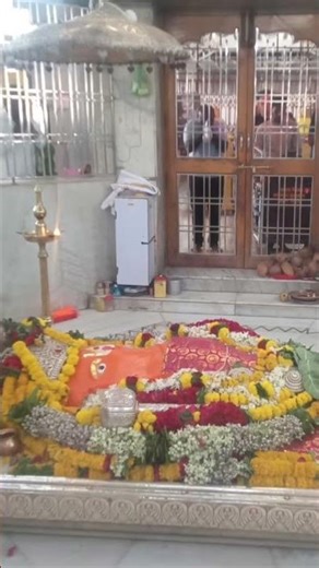 Monkey minds who login & attends💯 in social workings of others time & movement is rested by Bhadrak