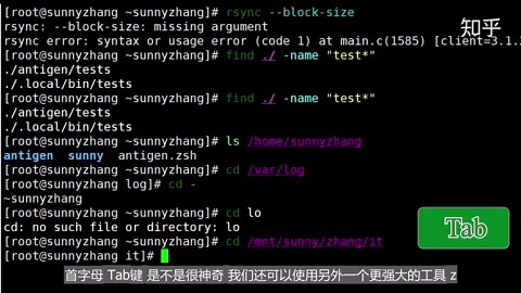 推荐一款让你感到惊艳的Linux Shell