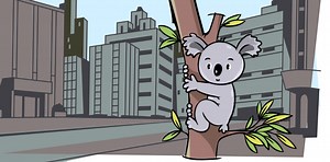 Where does Australia's wildlife hide? - Science Journal for Kids and Teens