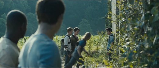 The Maze Runner - Trailer