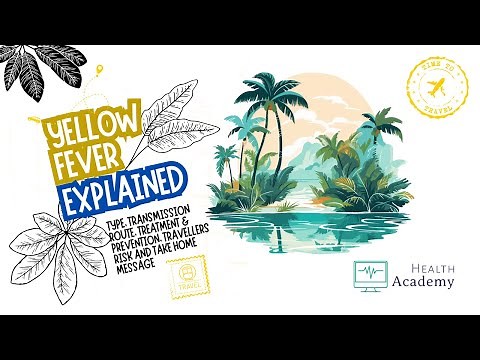 Yellow Fever - Explained