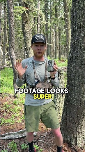 Best spots to set up a trail camera