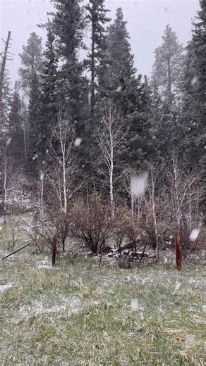 76K views · 3.2K reactions | 5-18-25 Snow Storm at the guesthouse. Pagosa Springs Colorado! ❄️️❄️️❄️️❄️ #snowstorm #colorado #maysnow #springsnow #OutdoorAdventure #viral #Wow #epic #highaltitudepagosa #epic | High Altitude Pagosa | Facebook