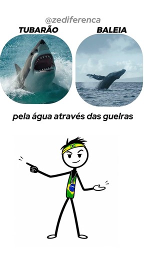 Astronomia vs Astrologia — Você Sabe a Diferença?