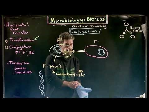 Horizontal Gene Transfer: Part 1