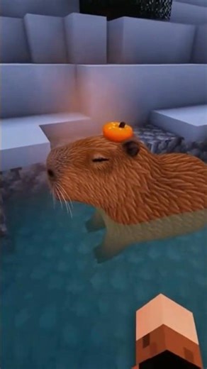 FORGOTTEN CAPYBARA in Minecraft?