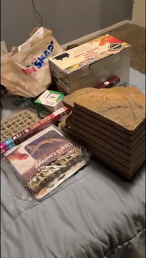 oh Mimi #cats #catsoftiktok #screaming #OneSliceChallenge #StudentSectionSauce #SoundcoreGoForGold