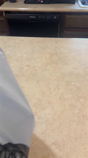 Dave’s Hot Chicken Collaboration Review