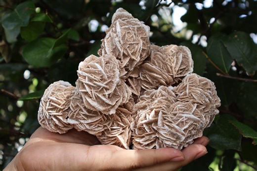 Extra Large Desert Rose Cluster – Natural Gypsum Crystal Sculpture (3"–10") - Etsy