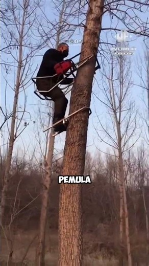 Fast Tree Climbing Tool #shorts