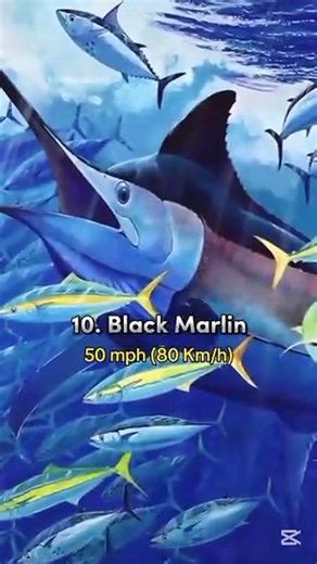 "Top 10 Fastest Animals in the World":