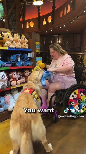 Letting My Service Dog Choose His Own Toy 🧸 | Amazing Service Dog Experience