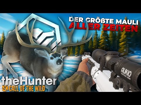 I shot the BIGGEST mule deer of my career! 🦌🔥